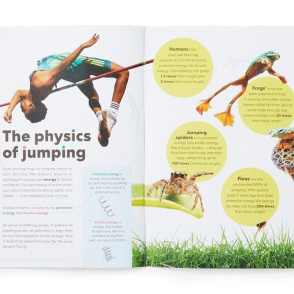 KIWICO "JUMPING ROBOT" kids and adults engineering project - Picture 10 of 10